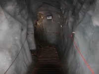 IMG 2004